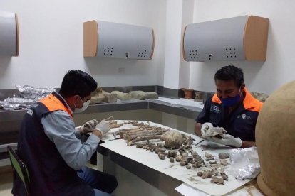 Expertos 

del Centro de Investigación e Interpretación analizando las últimas piezas halladas.