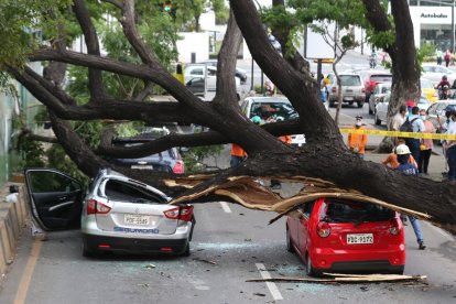 Los daños solo fueron materiales.