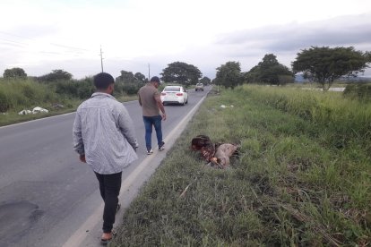 Los huesos de los animales fueron hallados por Salitre.