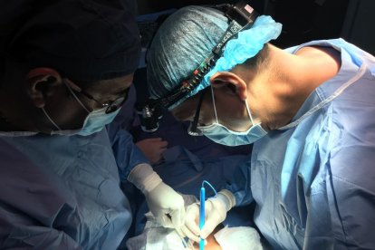 En la operación se puede sacar el estómago, vesícula, bazo y ganglios. Es según 
el caso del paciente.