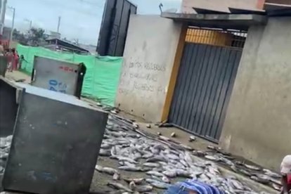 Sin importar nada, la gente cogía los pescados que podían.