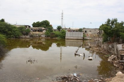 La albarrada Mealeche luce con basura.