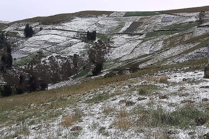 La muerte accidental de María Yucailla, de 34 años, sucedió en el sector Las Juntas del cantón Colta, provincia de Chimborazo.