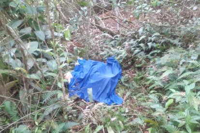 El cuerpo de la señora fue cubierto mientras llegaban los agentes.