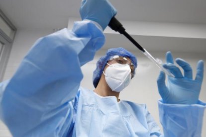 Investigadores trabajan con muestras de la Covid-19.