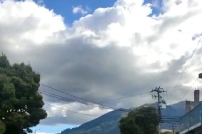 Un agente cayó al piso y recibió un golpe durante la pelea con el conductor.