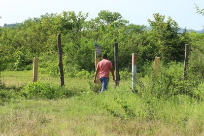 El sector tiene bastante vegetación y está alejado de las áreas pobladas.