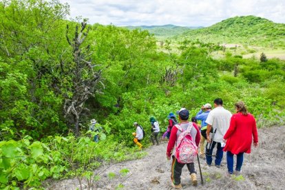 Un grupo de comuneros trabaja en planes de reforestación.