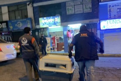 Dejaron al animalito encerrado en una vivienda.