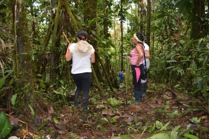 Con largos palos bajan los frutos de la palma.