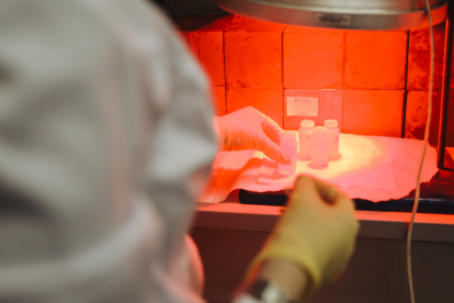 La variante fue descubierta en muestras de pacientes positivos de Perú y Chile.