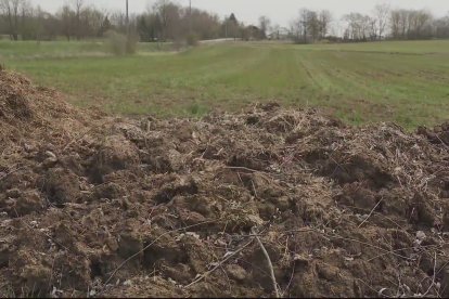 El muro de excremento de vaca que divide ambas propiedades.