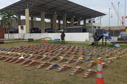 Hallan droga en un contenedor con destino a Rusia.