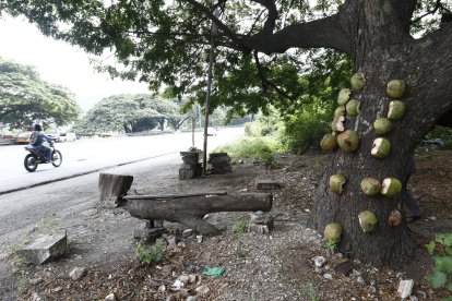 Un vendedor de cocos encontró el cadáver cerca de su negocio.