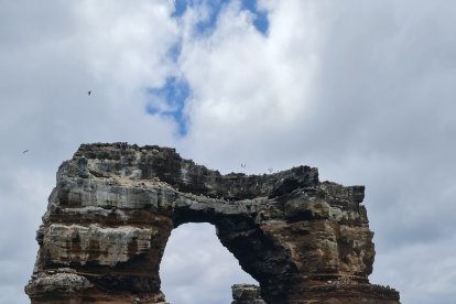 La caída se debió a la erosión natural que sufrió el Arco de Darwin.