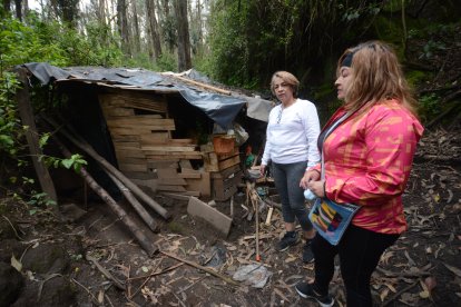 Los vecinos mostraron las casuchas que han construido los ocupantes del bosque.