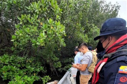 Entre unas ramas de un árbol flotaba la víctima.