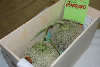Los melones subastados en Japón.
