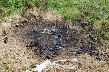 Los restos del adulto mayor fueron hallados en un terreno baldío.