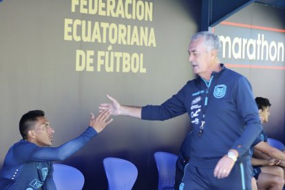El técnico Gustavo Alfaro destacó el compromiso de los seleccionados de cara a la reanudación de las eliminatorias.