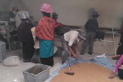 Comuneros acuden a la molienda para procesar su cebada.