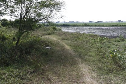 El delito se perpetró en un sitio desolado, en las afueras de Samborondón.