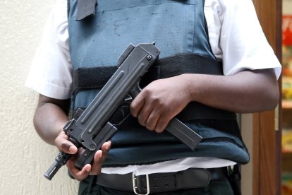 El objetivo de los delincuentes fue llevarse las armas de los guardias del parque.