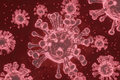 Las vacunas sí darían inmunidad duradera.