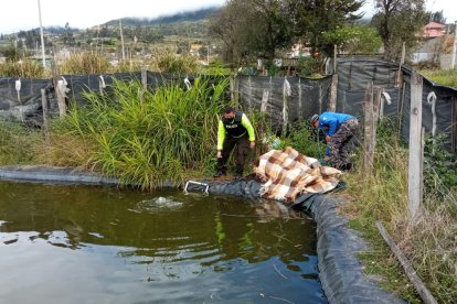 Un día estuvieron desaparecidos los niños de su casa.