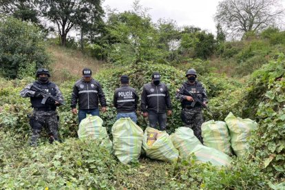Agentes antidroga con sacos