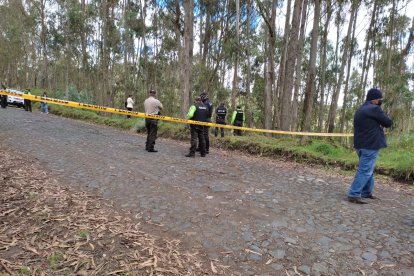 La adolescente de 16 años fue hallada en medio de un bosque.
