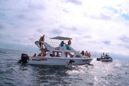 Tras navegar 35 minutos desde la costa se puede apreciar a las imponentes ballenas que surcan en el mar.