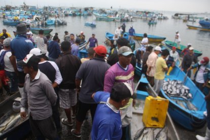 Entre 8 y 10 motores por semana se roban los llamados piratas de mar.
