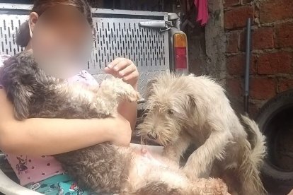 Camila refugia sus aflicciones compartiendo y mimando a las mascotas de su padre.