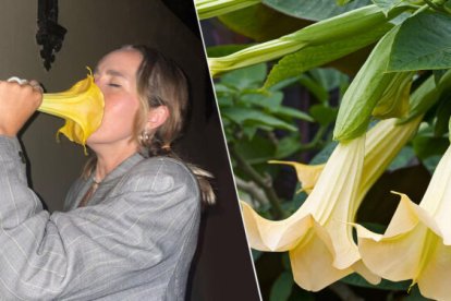 La chica con la flor que resultó ser nociva para su salud.