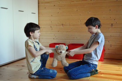 Padres y cosas externas pueden causar rivalidad entre hermanos.