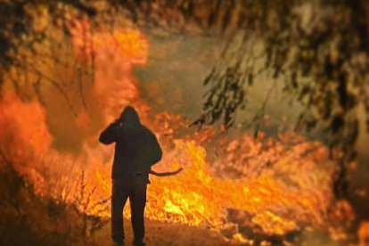 Los siniestros forestales han sido siempre uno de los peores males de California.