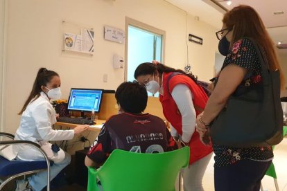 Los chicos fueron evaluados médicamente. Luego fueron llevados a casas de acogida.