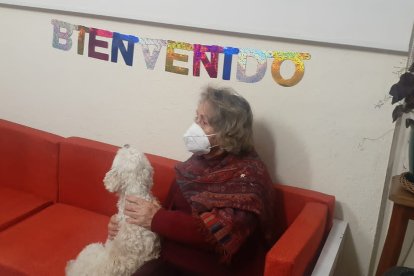 Algodoncito fue recibido con globos en su nuevo hogar. La madre de Lucía estaba feliz de conocerlo.