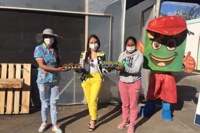 Mediante un acto se entregaron simbólicamente las plántulas a algunas familias.