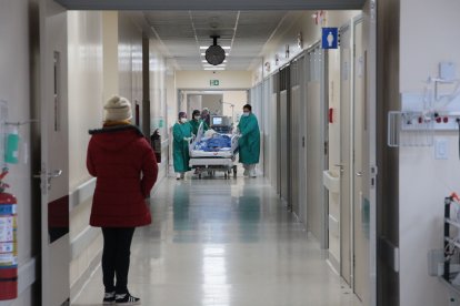 Referencial. Las futuras madres están en mayor peligro frente al ‘bicho’.