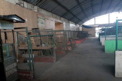 Así luce el mercado.