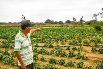 Unas 400 familias se beneficiarán con el proyecto recientemente adaptado.