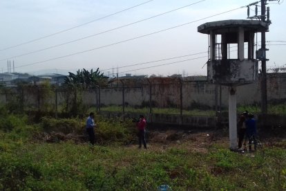 PPL escapo en la madrugada del CDP de la Penitenciaría del Litoral escalando una planta de plátano y paredes.