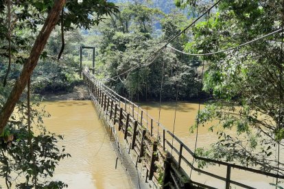 El paso elevado se rompió cuando un caballo pasaba llevando a las dos personas.