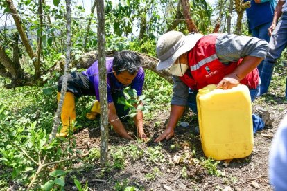 Los agricultores sacan el agua de los pozos.