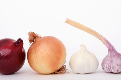 La cebolla, ajo y miel son expectorantes naturales. Hay otros que ayudan a superar los síntomas del resfriado.