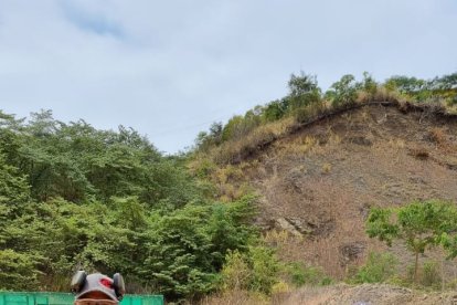 La delegación de Aruba que participará en el torneo, fue recibida por el Dr. Roberto Gilbert.