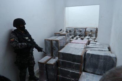 Se encontró droga camuflada en Vergeles.