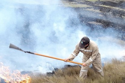 Un guardaparque lucha contra el avance de las llamas.